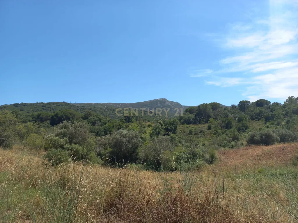 Terreno com 6,23ha na Arrábida - um verdadeiro Oásis em plena Serra e na proximidade do Mar - Image 9