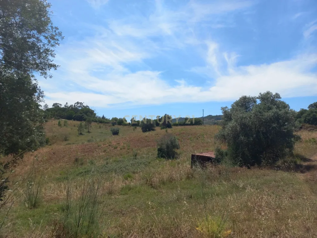 Terreno com 6,23ha na Arrábida - um verdadeiro Oásis em plena Serra e na proximidade do Mar - Image 11