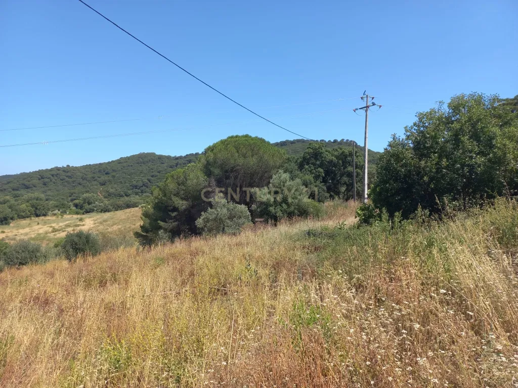 Terreno com 6,23ha na Arrábida - um verdadeiro Oásis em plena Serra e na proximidade do Mar - Image 18