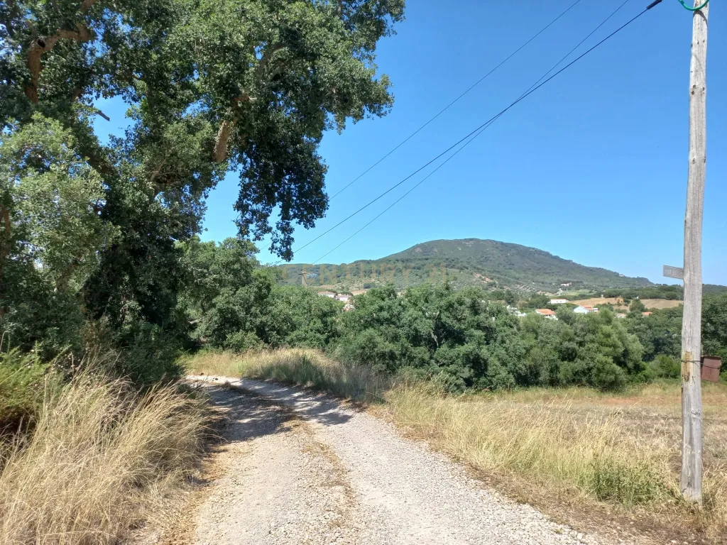Terreno com 6,23ha na Arrábida - um verdadeiro Oásis em plena Serra e na proximidade do Mar - Image 20