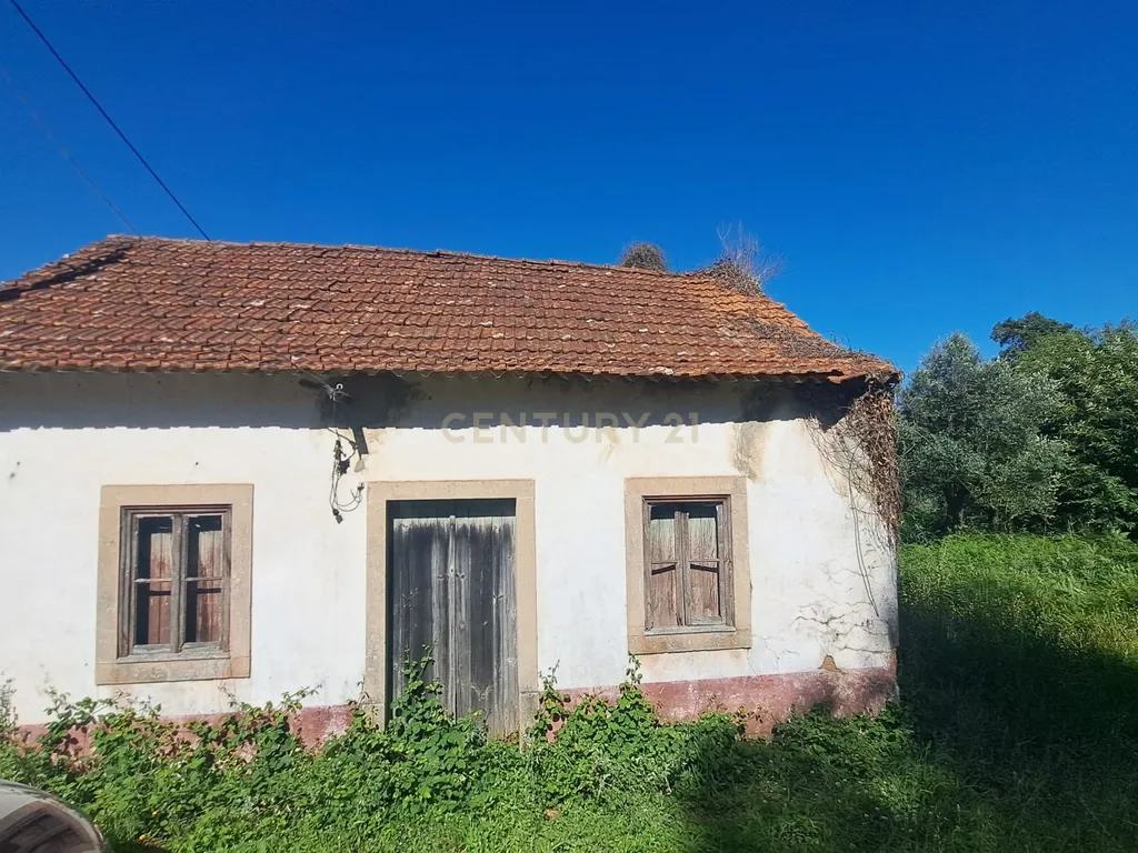 Quinta para venda em Paio Mendes - Ferreira do Zezere - Image 12