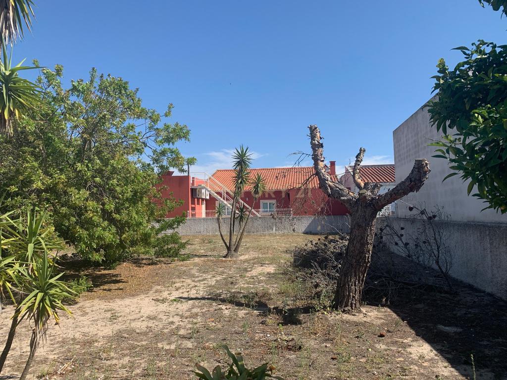 Excelente terreno para habitação própria em Porto Alto - Benavente - Samora Correia - Image 7