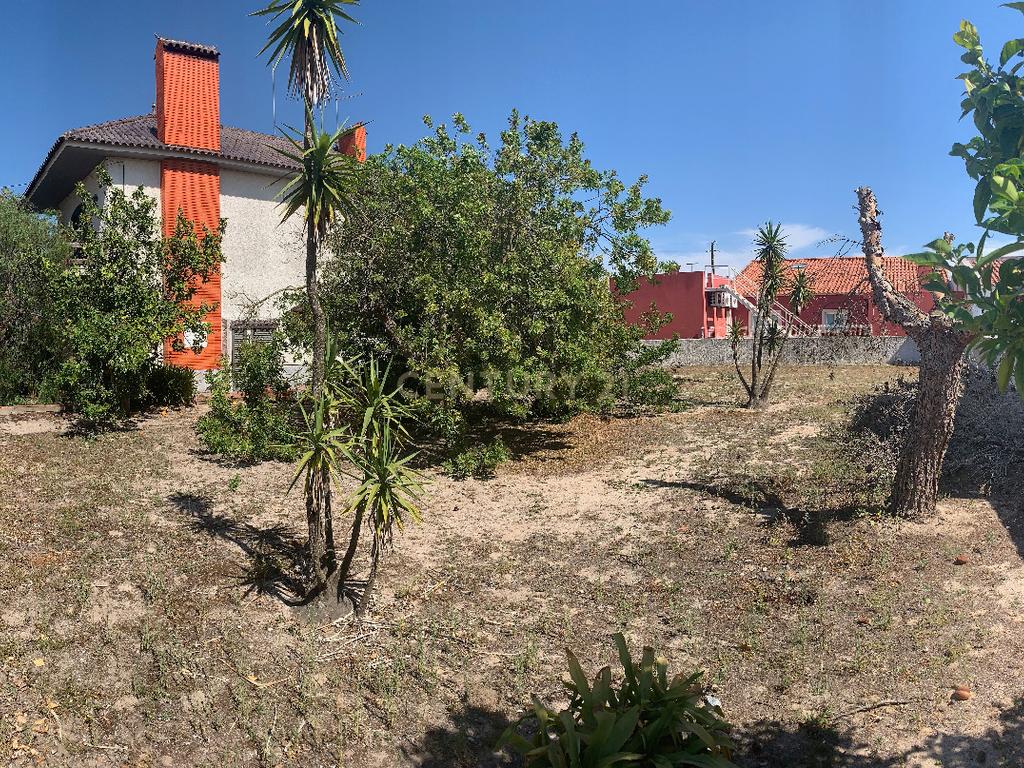 Excelente terreno para habitação própria em Porto Alto - Benavente - Samora Correia - Image 6