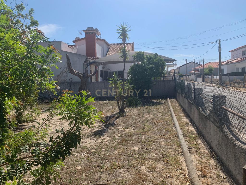 Excelente terreno para habitação própria em Porto Alto - Benavente - Samora Correia - Image 4