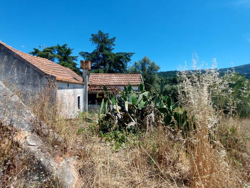 Terreno com 6,23ha na Arrábida - um verdadeiro Oásis em plena Serra e na proximidade do Mar - Image 1