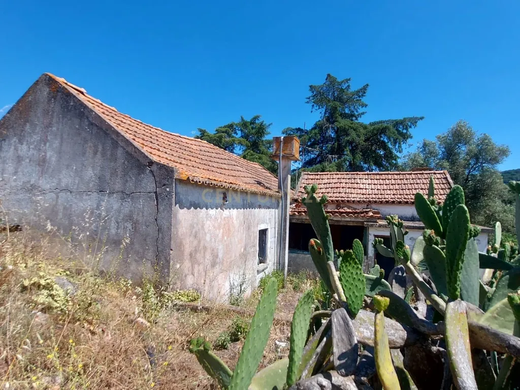 Terreno com 6,23ha na Arrábida - um verdadeiro Oásis em plena Serra e na proximidade do Mar - Image 2