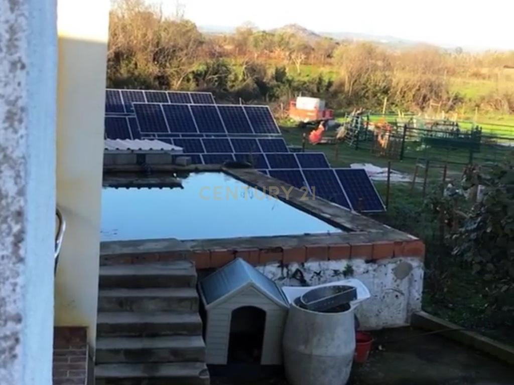 Quinta localizada em Amieira do Tejo, em Nisa, distrito de Portalegre - Image 17
