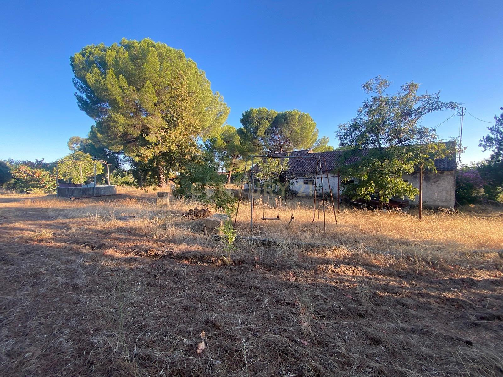 Herdade , Lousa, Castelo Branco - Image 8
