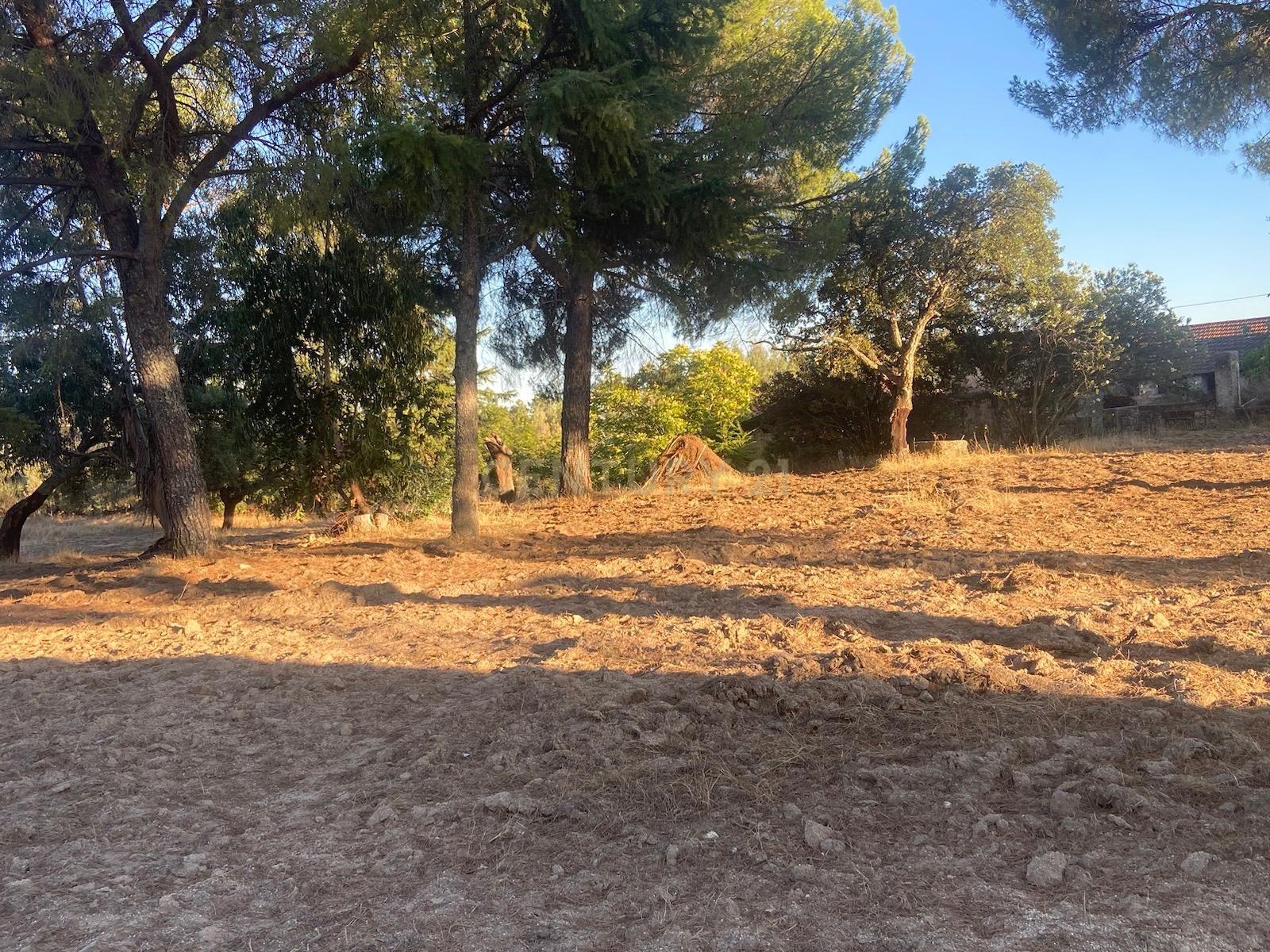 Herdade , Lousa, Castelo Branco - Image 4