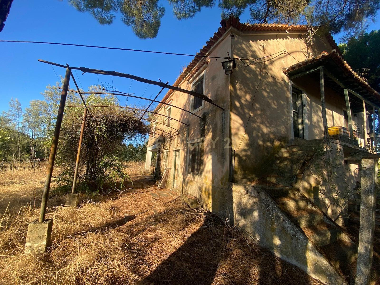 Herdade , Lousa, Castelo Branco - Image 7