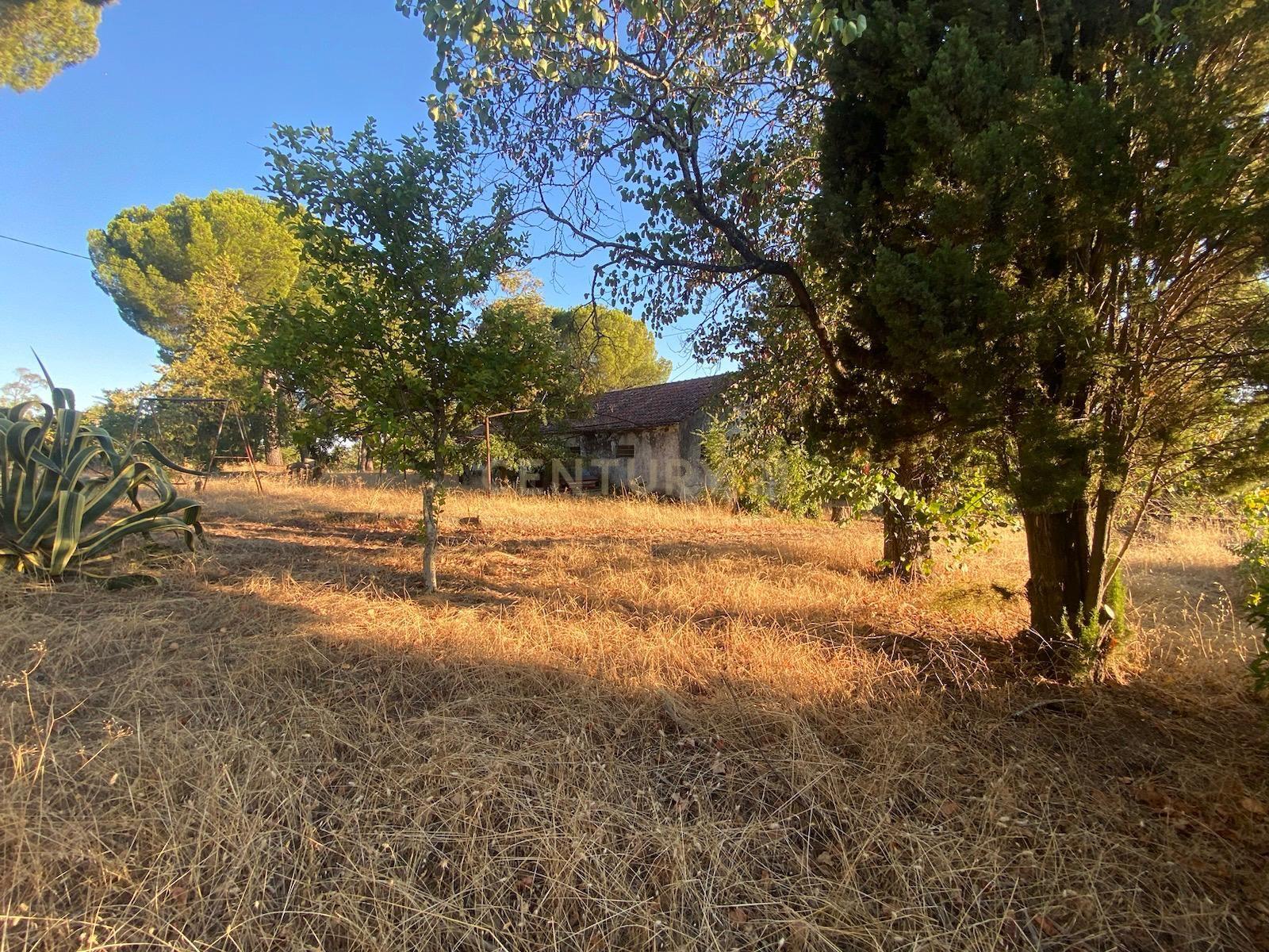 Herdade , Lousa, Castelo Branco - Image 3