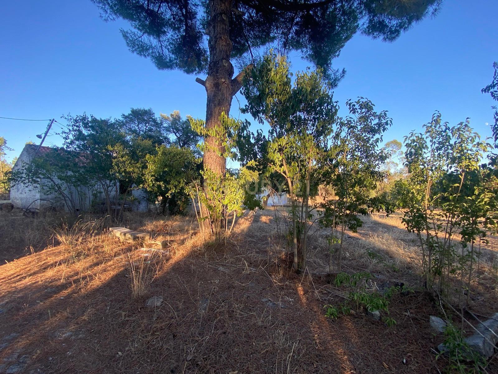 Herdade , Lousa, Castelo Branco - Image 2