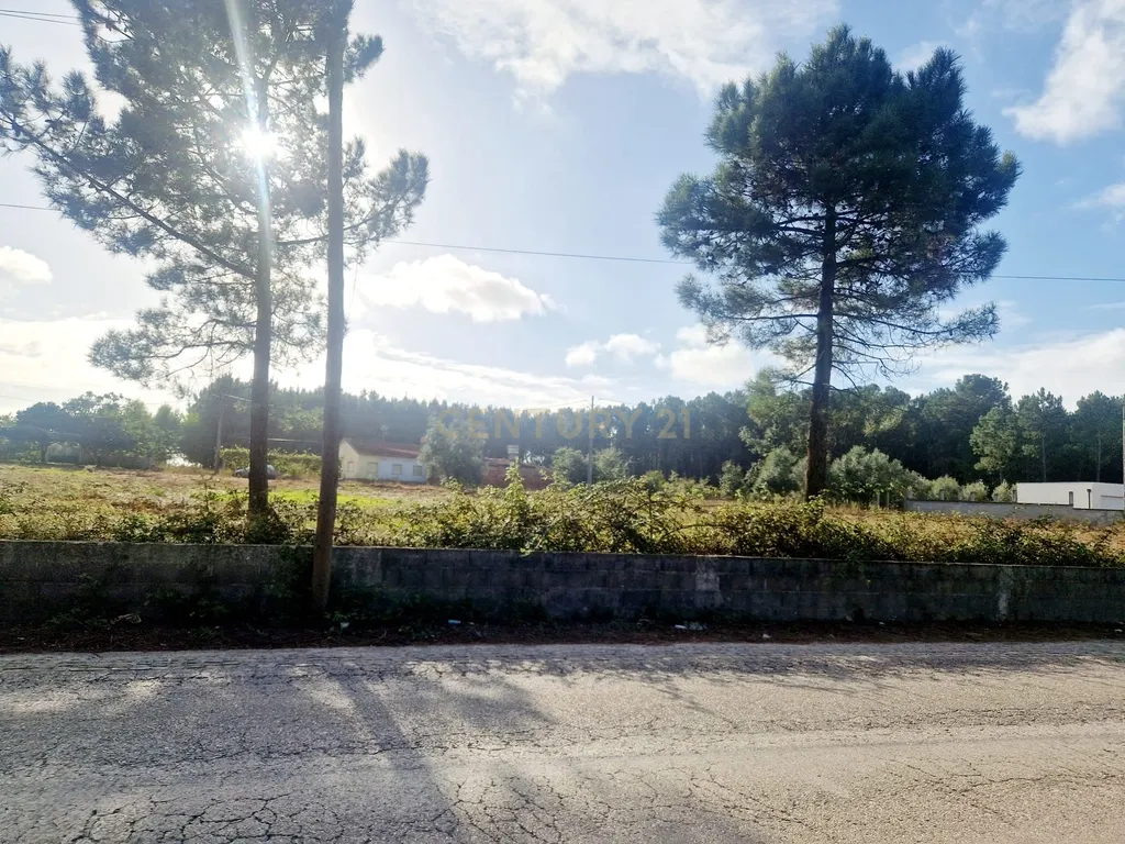Lote para moradia || 707 m2 || Ilha, Pombal. - Image 12