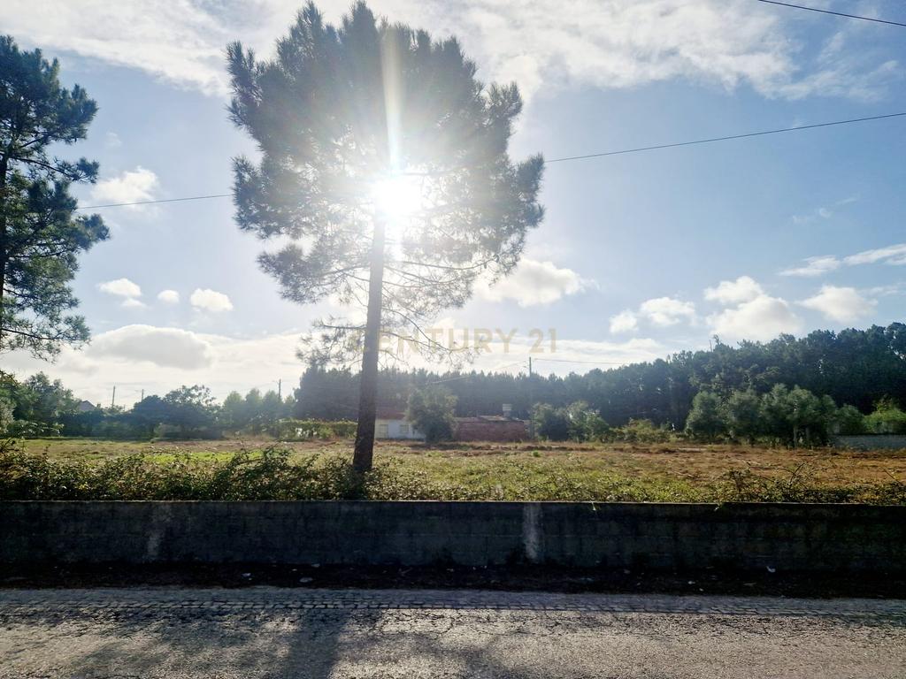 Lote para construção de moradia. - Image 36