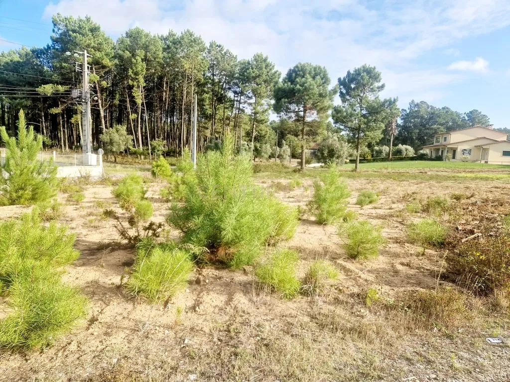 Lote para construção de moradia. - Image 17