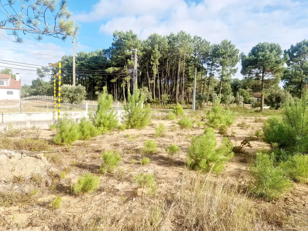 Lote para construção da sua moradia de sonho. - Image 11