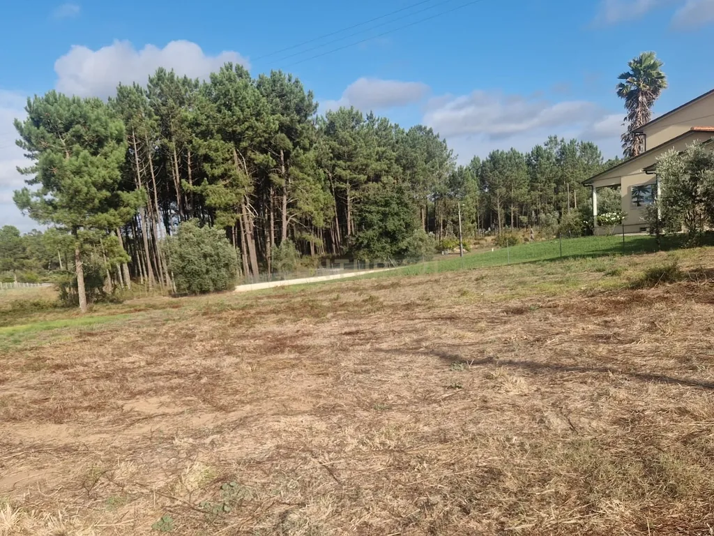 Lote para construção de moradia. - Image 22