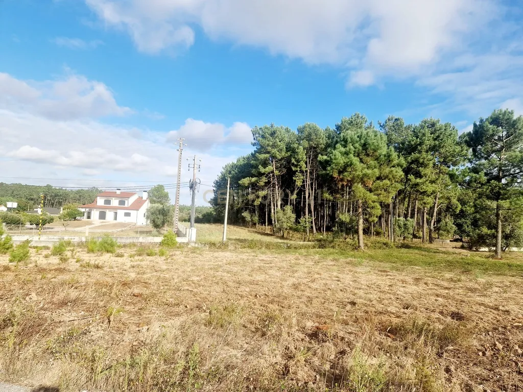 Lote para construção de moradia. - Image 31