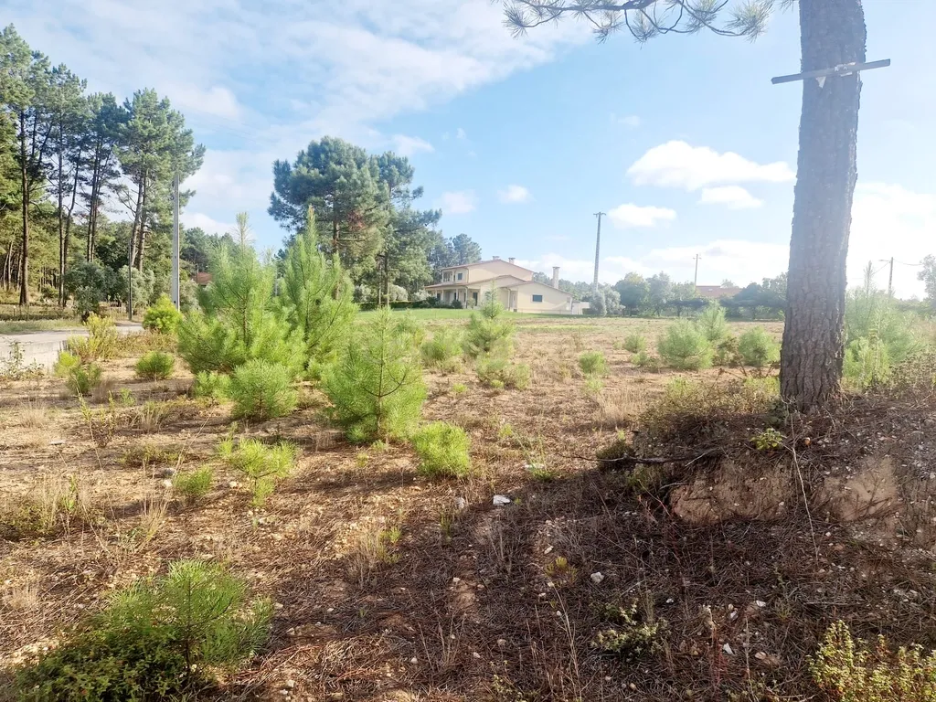 Lote para construção de moradia. - Image 32