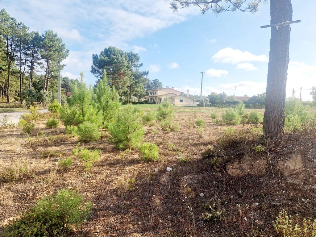Lote de Terreno para Construção de Moradia - Image 27