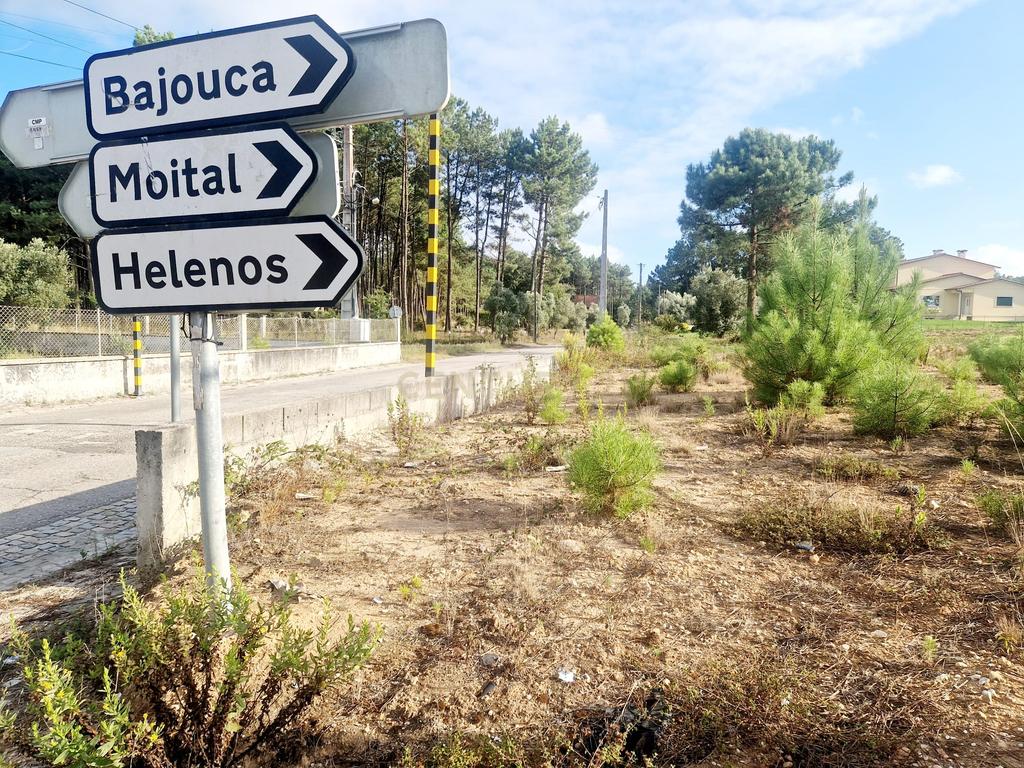 Lote de Terreno para Construção de Moradia - Image 38