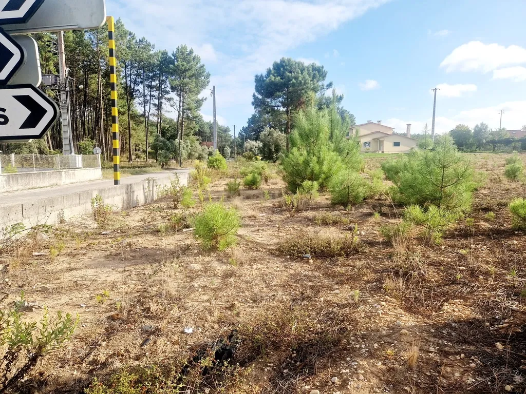 Lote para construção de moradia. - Image 34