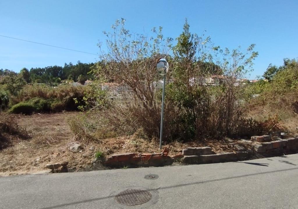Terreno para Construção | Casal da Bemposta | S. Martinho do Bispo - Image 5