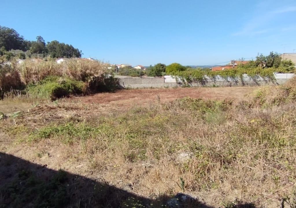 Terreno para Construção | Casal da Bemposta | S. Martinho do Bispo - Image 3