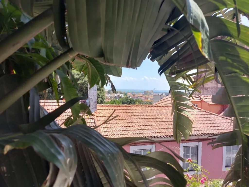 Moradia Loft com 4 suites, Piscina e Jardim - Projecto aprovado - Image 19