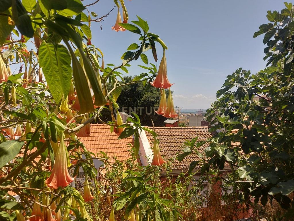 Moradia Loft com 4 suites, Piscina e Jardim - Projecto aprovado - Image 20