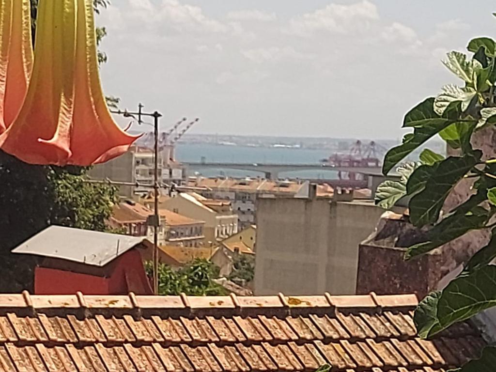 Moradia Loft com 4 suites, Piscina e Jardim - Projecto aprovado - Image 21