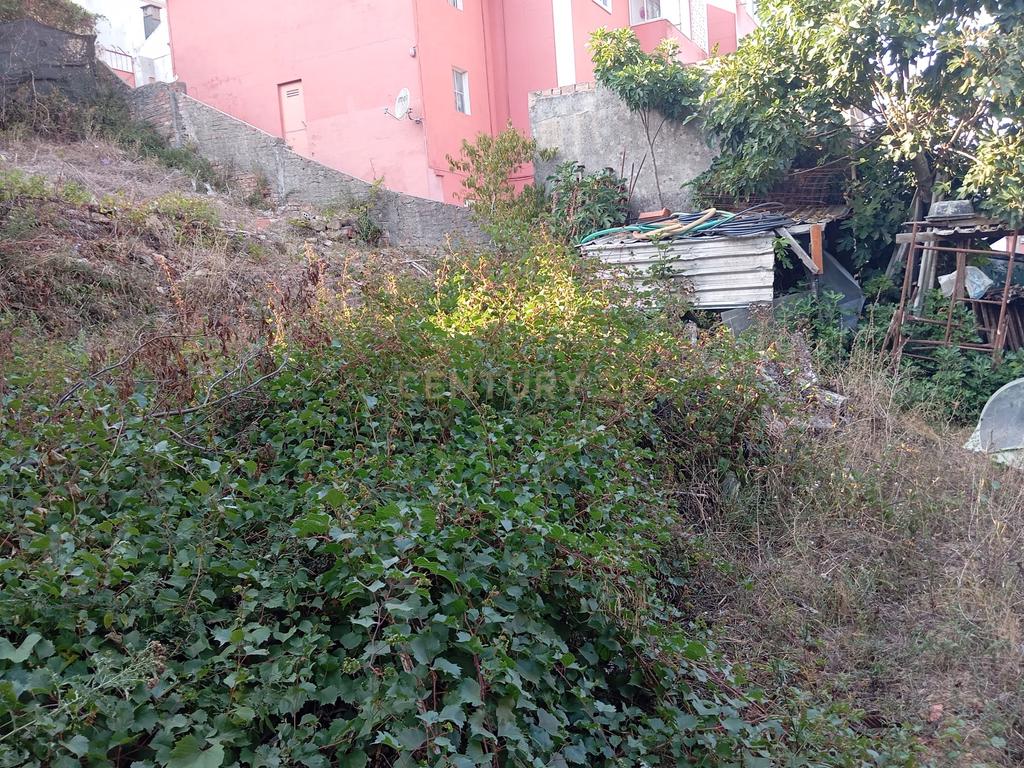 Lote3 terreno  com projeto aprovado. - Image 9