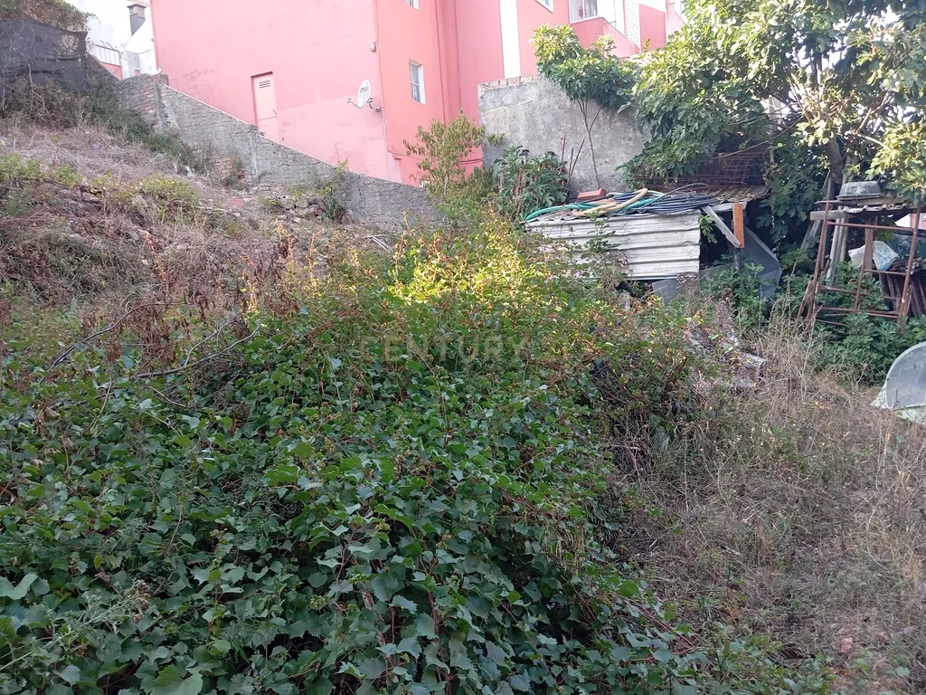 Lote3 terreno com projeto aprovado. - Image 9