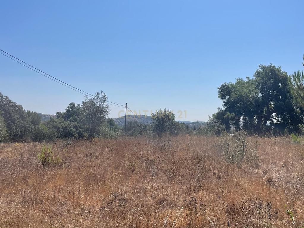 Carapeta e Olival - Terreno rústico com área de74.500m2, com poço e árvores, PIP e situado junto a Montemor-o-Novo - Image 2