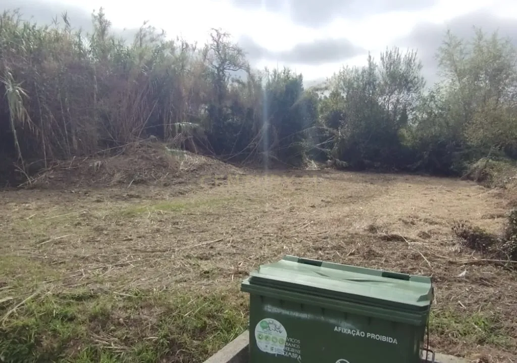 Terreno para Construção | Casal da Bemposta | S. Martinho do Bispo - Image 9