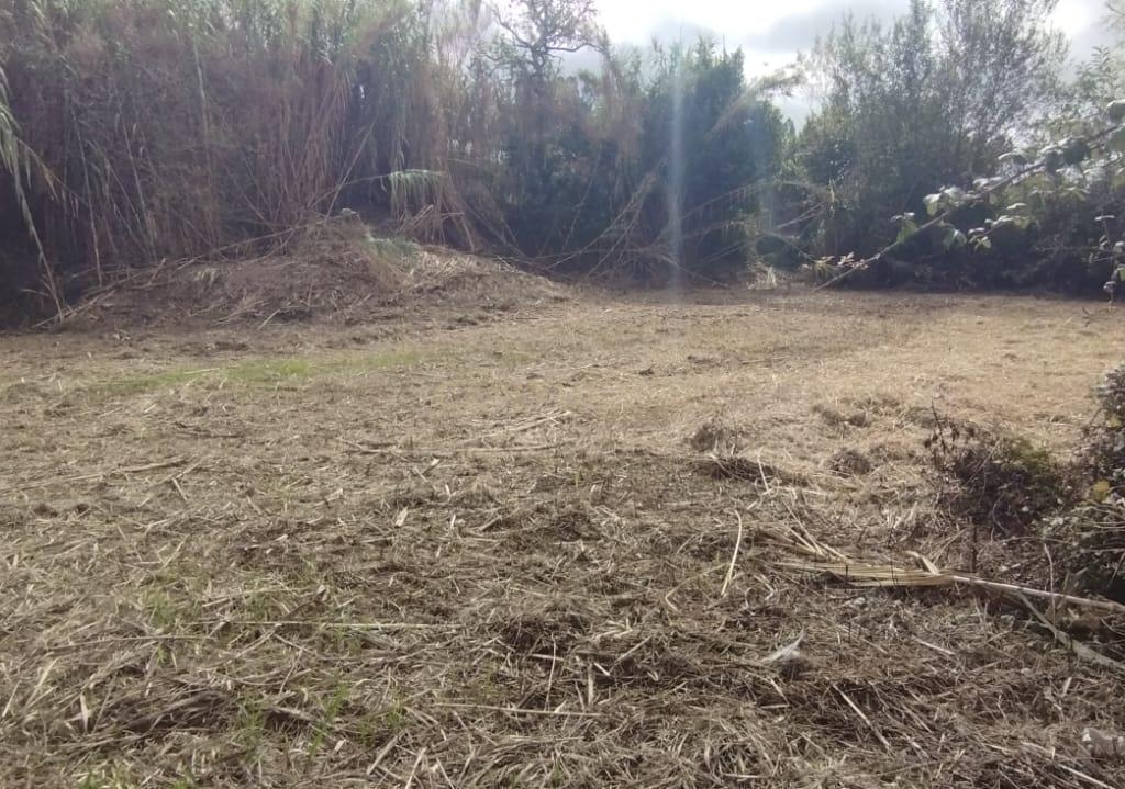 Terreno para Construção | Casal da Bemposta | S. Martinho do Bispo - Image 10