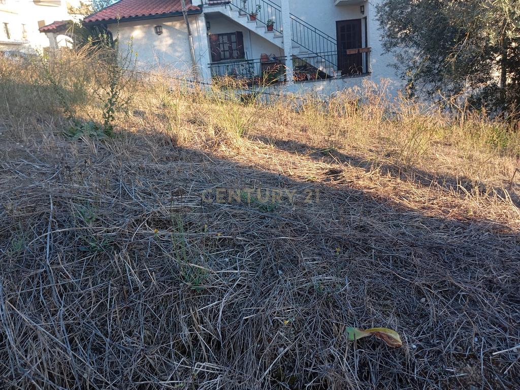 EXCELENTE LOTE DE TERRENO ENCOSTA DO SOL SOURE - Image 22
