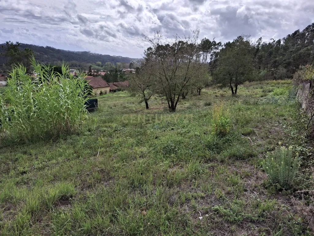 Terreno com projecto de habitação de moradia terrea - Image 2
