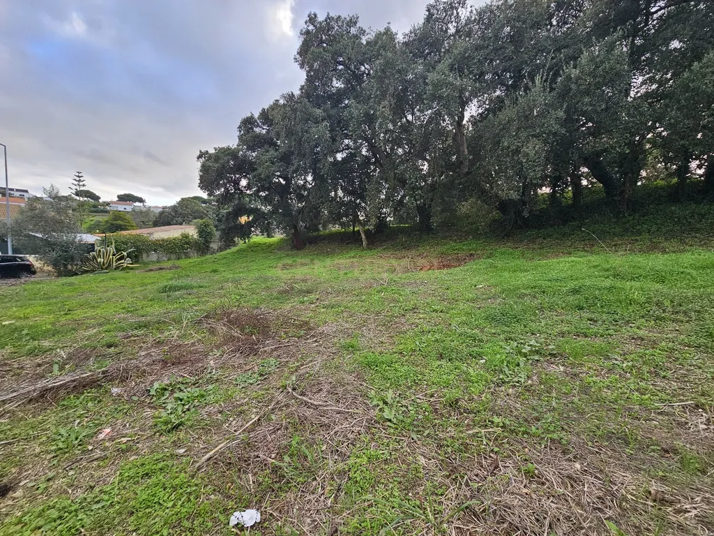 Lote de Terreno Urbano com 238m² para construção de moradia - Image 11