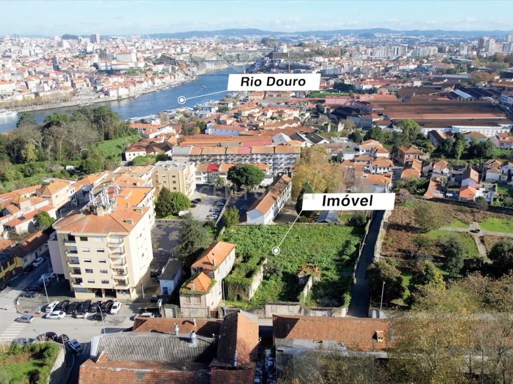 Quinta c/ 2.139m2 - Afurada, Vila Nova de Gaia - Image 7