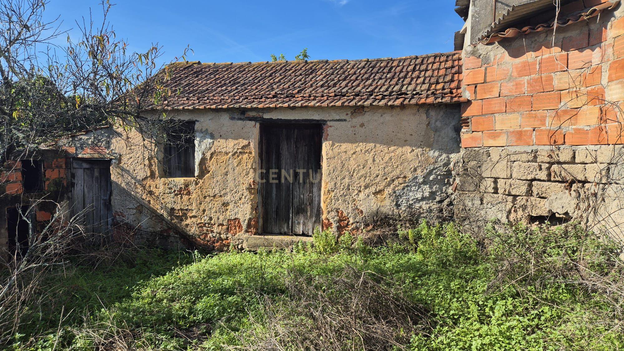 Moradia em Ribeira da Mata Vila Nova de Anços, Soure - Image 33