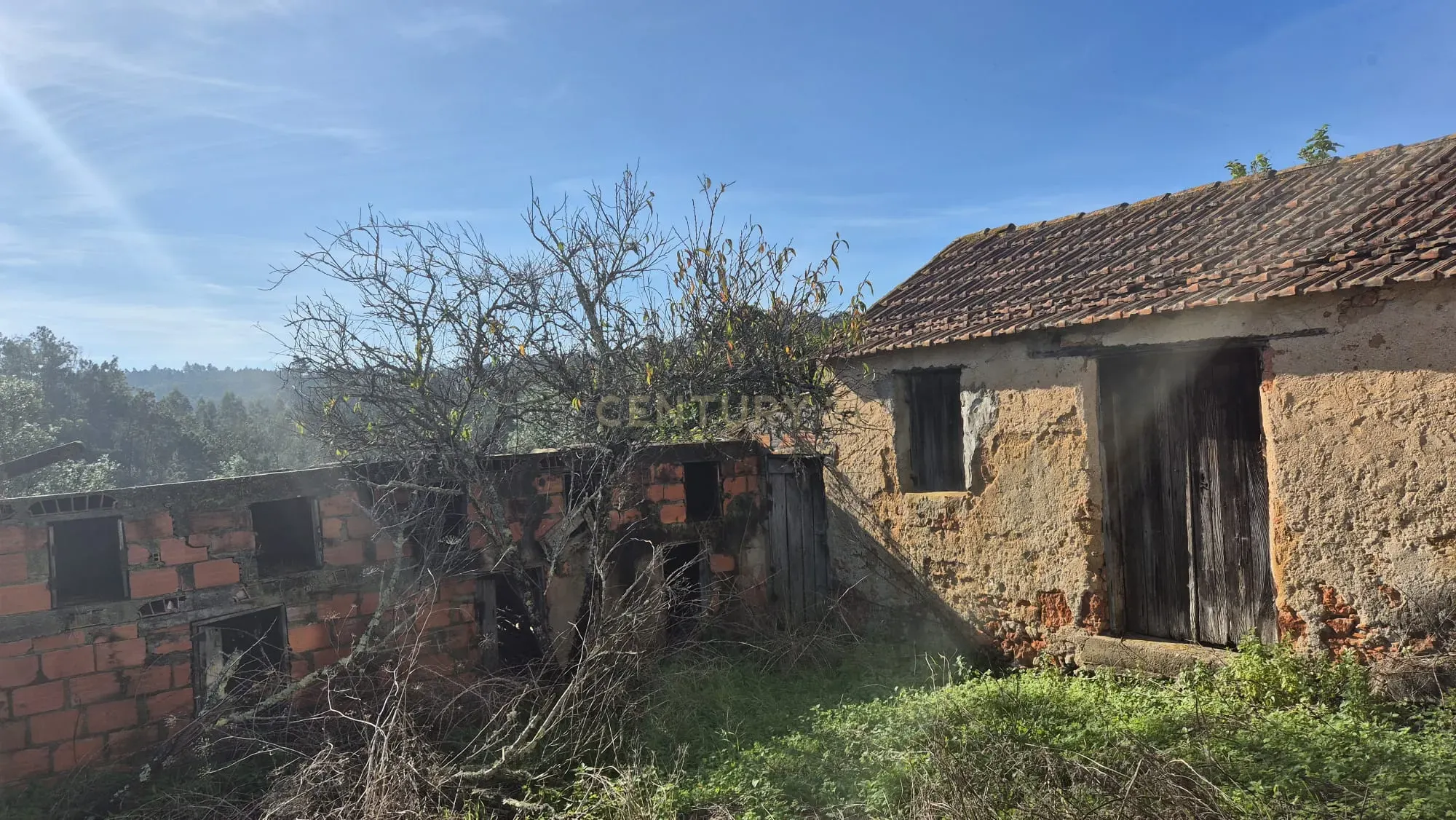 Moradia em Ribeira da Mata Vila Nova de Anços, Soure - Image 34