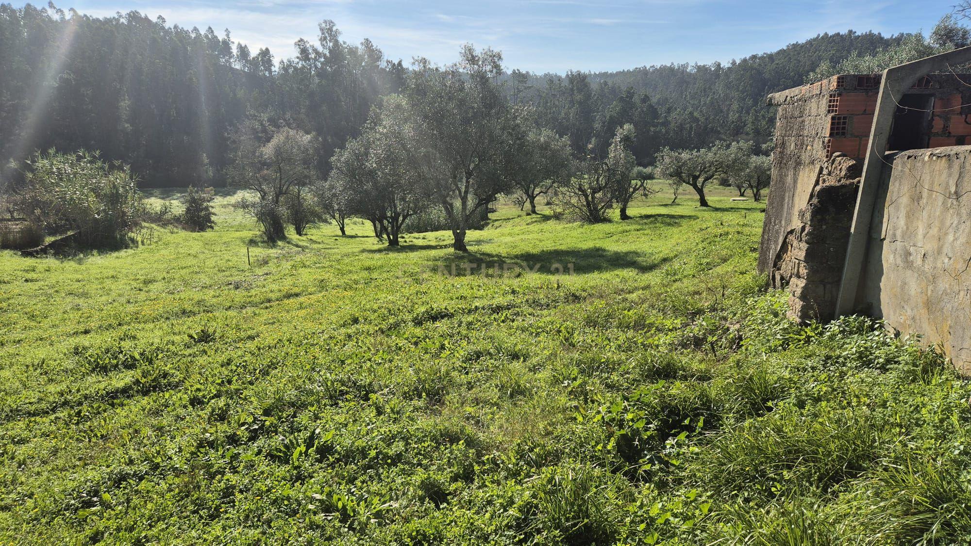 Moradia em Ribeira da Mata Vila Nova de Anços, Soure - Image 35