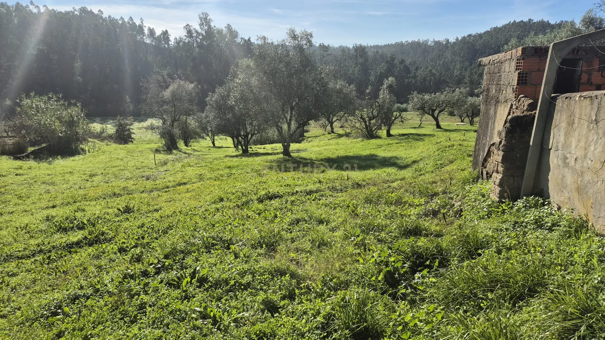 Moradia em Ribeira da Mata Vila Nova de Anços, Soure - Image 37