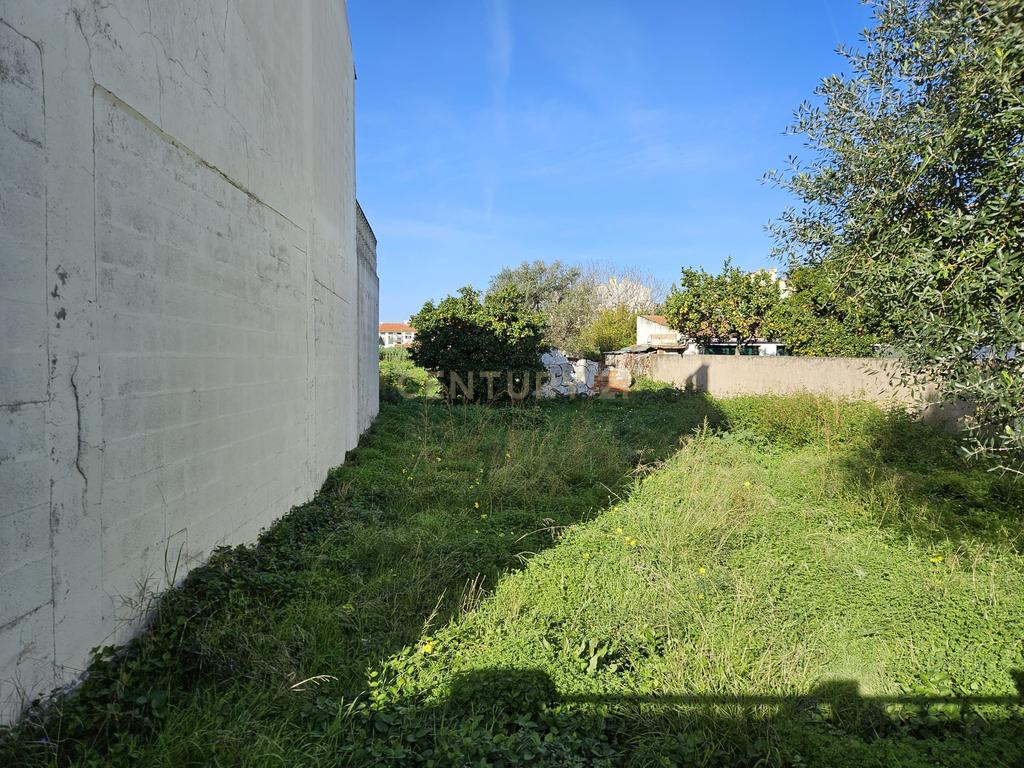 Terreno Urbano à Venda no Entroncamento – 5640 m² - Image 3