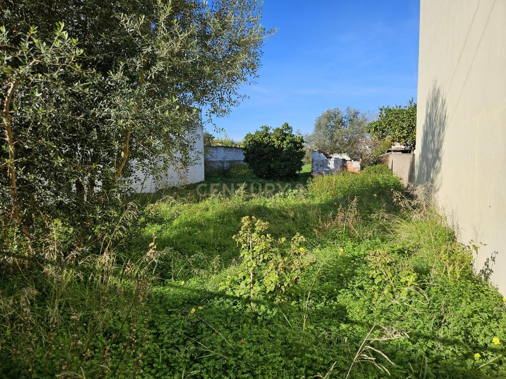 Terreno Urbano à Venda no Entroncamento – 5640 m² - Image 10