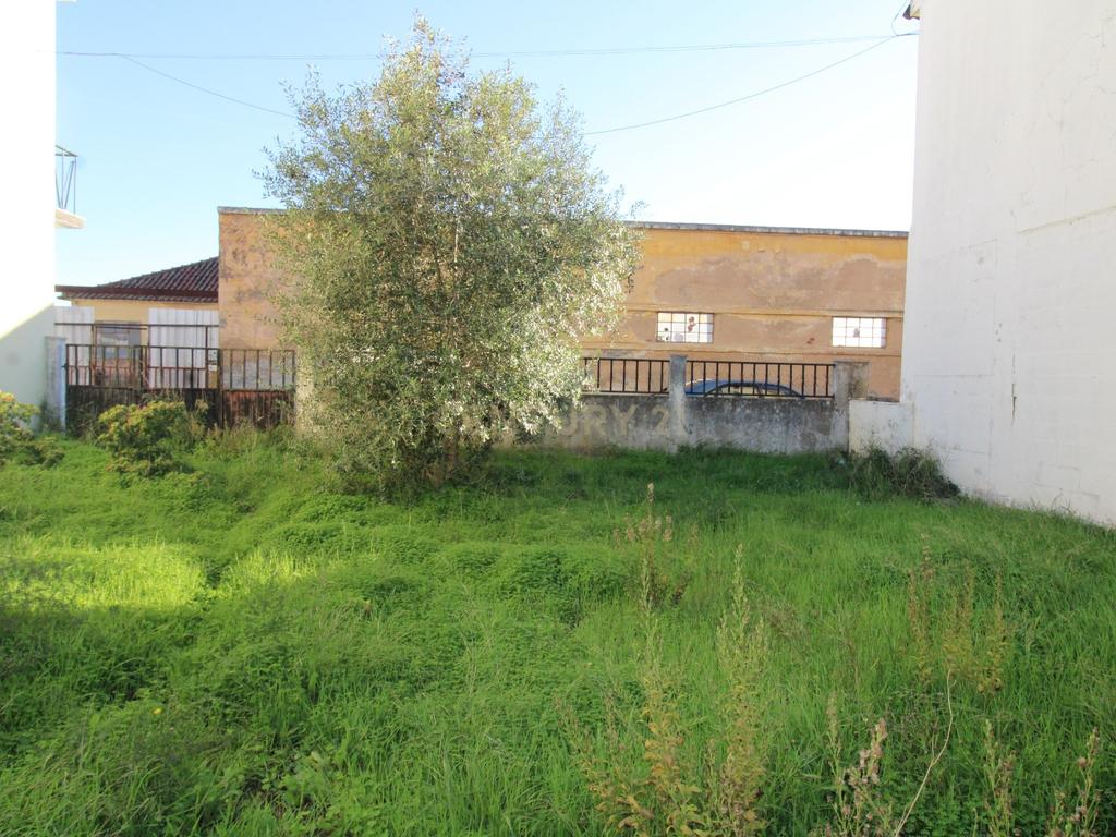 Terreno Urbano à Venda no Entroncamento – 5640 m² - Image 5