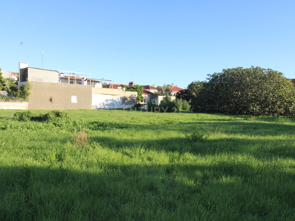 Terreno Urbano à Venda no Entroncamento – 5640 m² - Image 7