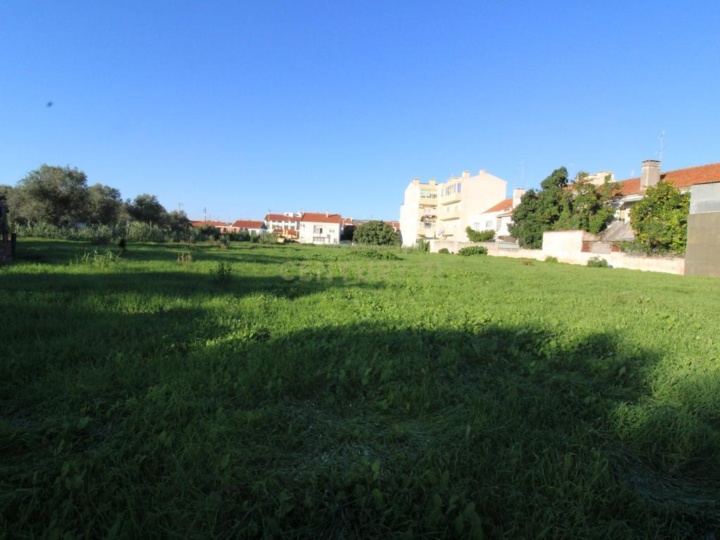 Terreno Urbano à Venda no Entroncamento – 5640 m² - Image 4