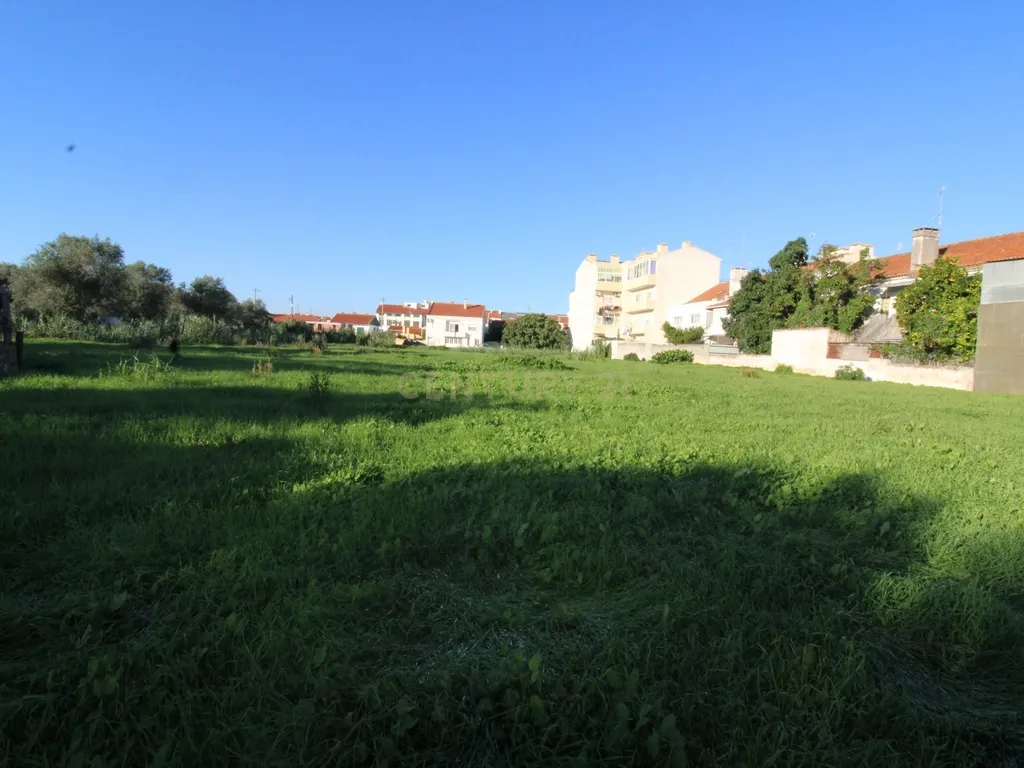 Terreno Urbano à Venda no Entroncamento – 5640 m² - Image 4